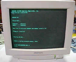 Micron_17_Monitor.jpg (46581 bytes)