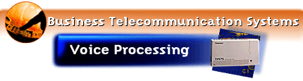 Voice Processing Systems